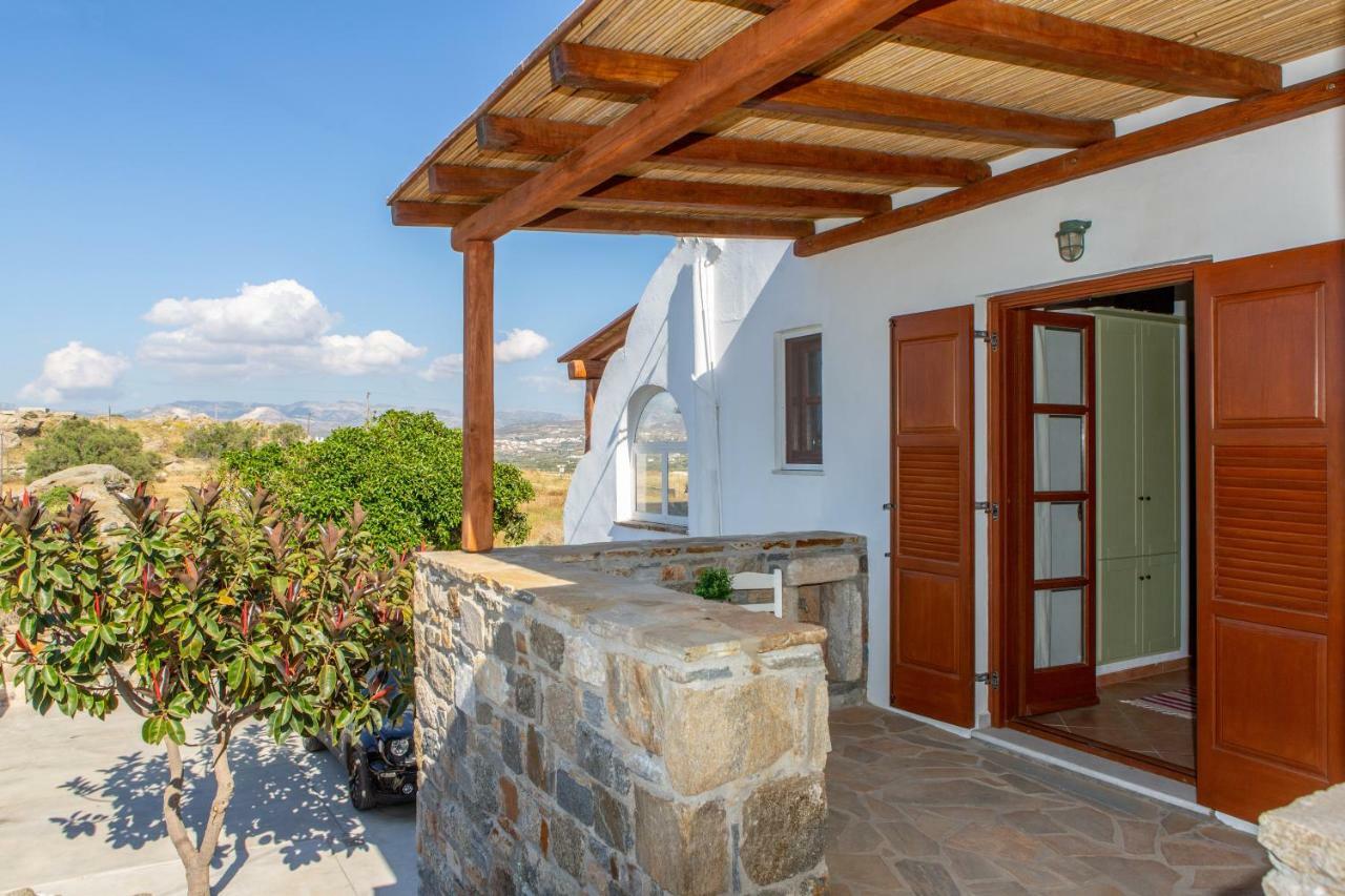 Thea Suites Naxos Ágios Prokópios Extérieur photo